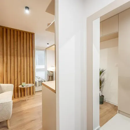 Karpatska Apartment *